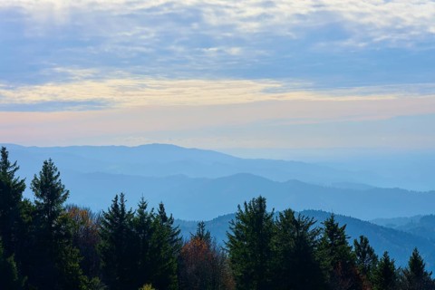 Misty mountain view over a forest with slightly overcast sky, Kandel, Waldkirch, Black Forest,