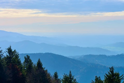 Wide mountain landscape with forest in the foreground and hazy horizon, Kandel, Waldkirch, Black
