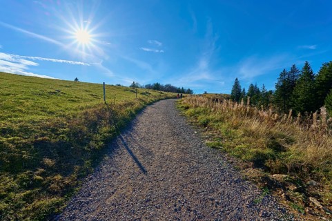 Kandel Höhenweg, leads through a peaceful landscape at the edge of the forest, Kandel, Waldkirch,