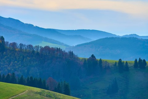 Mountain ranges and forests rise gently, Schauinsland, Freiburg im Breisgau, Black Forest,