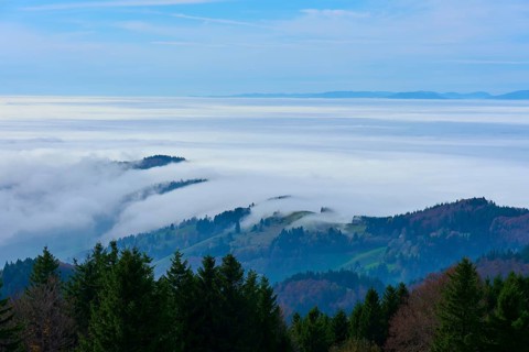Forests and hills rise through dense fog under a clear sky, Schauinsland, Freiburg im Breisgau,