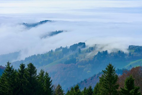 Hills and forests rise out of dense, white fog, Schauinsland, Freiburg im Breisgau, Black Forest,