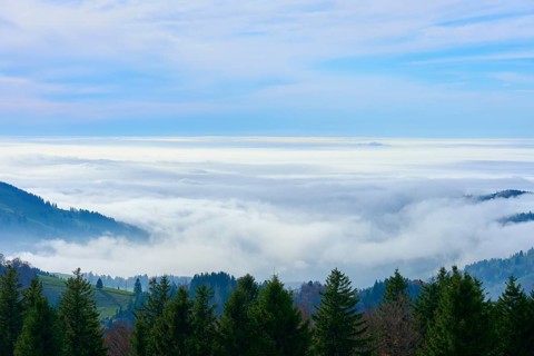 Dense forests with views of misty valleys and open skies, Schauinsland, Freiburg im Breisgau, Black
