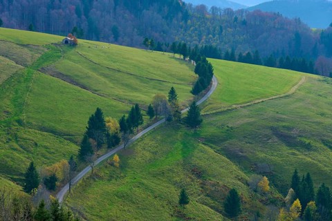 Rural road between green hills and woodland, Schauinsland, Freiburg im Breisgau, Black Forest,