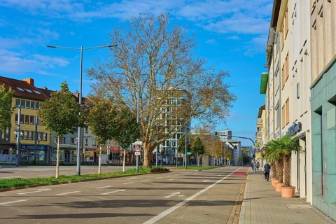 Modern street with trees, flanked by buildings, blue sky, Freiburg im Breisgau, Black Forest,