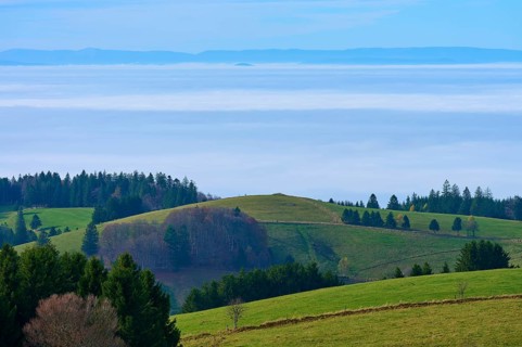 Green hills with trees under a blue sky with clouds, Schauinsland, Freiburg im Breisgau, Black