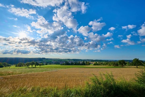 Morning sun over a wide, green field with scattered trees and clouds, Katzenbuckel, Waldbrunn,