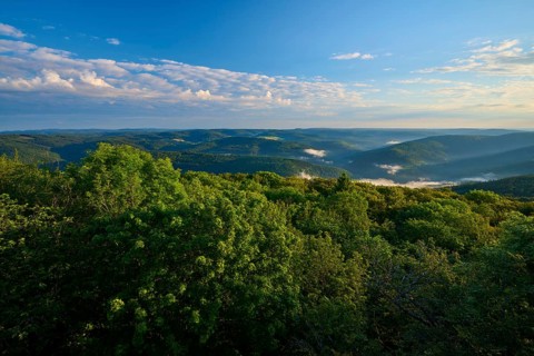 View over wooded and foggy hills under a clear sky, Katzenbuckel, Waldbrunn, Neckar-Odenwald-Kreis,