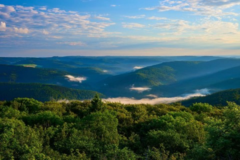 Green landscape with trees, light fog and peaceful blue sky, Katzenbuckel, Waldbrunn,