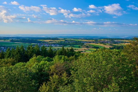 View over green trees and fields with clear sky and scattered clouds, Katzenbuckel, Waldbrunn,