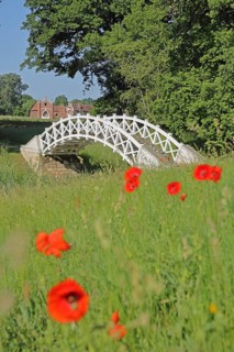 UNESCO Luisium, white arched bridge with poppies and neo-Gothic stud farm, idyll, Dessau-Wörlitz