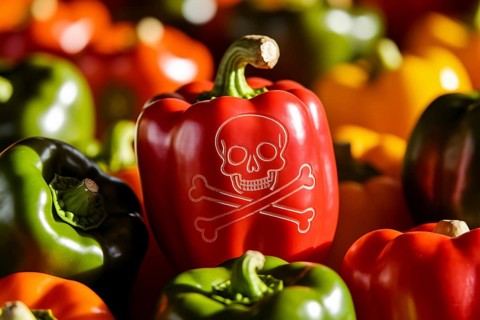 Skull Warning symbol carved into bell pepper reveals the hidden danger of pesticide exposure or
