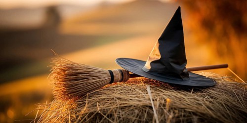 Banner with Halloween witch hat with broom on haystack. Spooky holiday decoration concept.