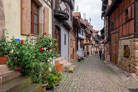 A narrow alleyway lined with traditional houses with plants and red flowers, Eguisheim, Plus beaux