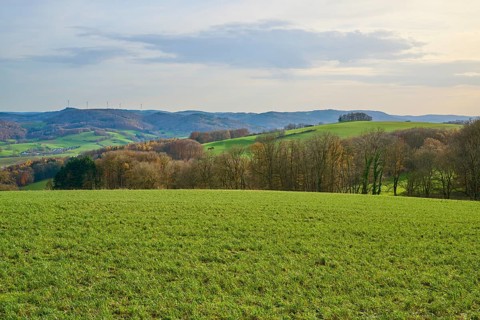 Hilly green landscape with trees and wind turbines on the horizon, Winterkasten, Lindenfels,