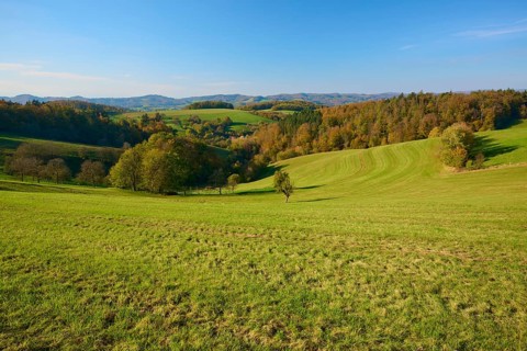 Wide hills with green meadows and autumnal trees under a clear blue sky, Vöckelsbach, Mörlenbach,