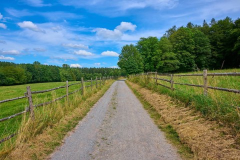 Straight country lane flanked by meadows and wooden fences, leading into a dense tree line under a
