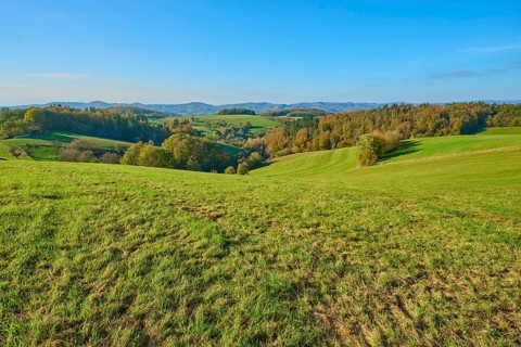 Wide green hills and meadows that create a quiet and rural atmosphere, Vöckelsbach, Mörlenbach,