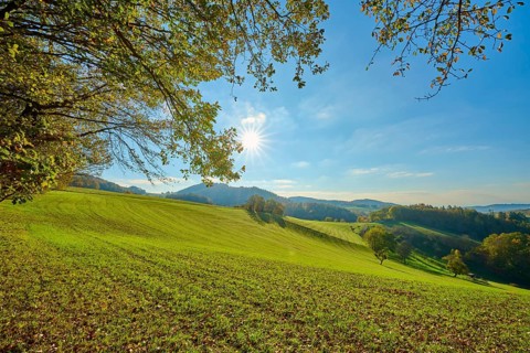 Green hills and trees, illuminated by the sun, creating a peaceful natural atmosphere, Vöckelsbach,