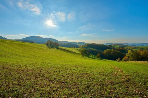 Wide green meadows under a bright sun and clear sky for a natural, peaceful atmosphere,