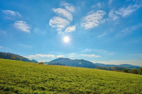 Wide meadow landscape under a bright sun and blue sky, Vöckelsbach, Mörlenbach, Bergstrasse