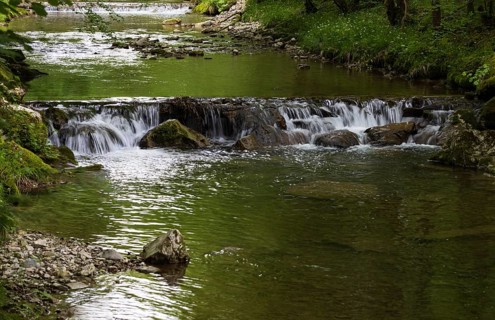 Small waterfall, Wangauer Ache flows through a forest, Mondseeland, Salzkammergut, Upper Austria,