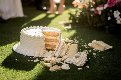 Shattered wedding cake lies in disarray on lush green lawn in warm golden sunlight. Generative ai,