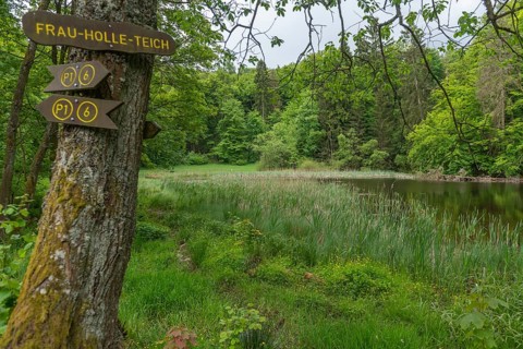 Frau Holle pond in the GEO nature park Park Frau Holle Land am Meissner, low mountain range,