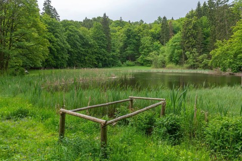 Frau Holle Pond in the GEO nature park Park Frau Holle Land am Meissner, low mountain range,