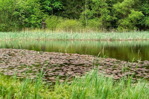Frau Holle pond in the GEO nature park Park Frau Holle Land am Meissner, low mountain range,
