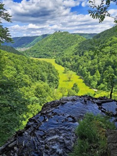 View from a hill onto a green valley (corn valley) with meadows, surrounded by wooded hills, Bad