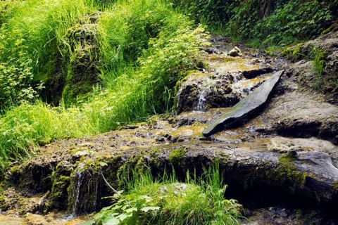 At the foot of the Urach waterfall, moss-covered rocks amidst green vegetation, Bad Urach