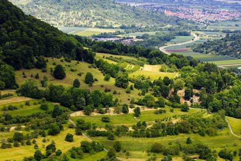Hilly landscape with trees and a view of a distant town, Neidlingen