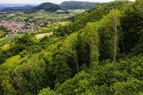 View from the top of the Reußenstein castle ruins over wooded hills and the Neidlingen valley,