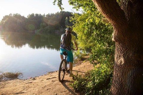 Mountain bikers on an evening tour to the lake