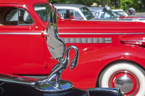 Grosse Pointe Shores, Michigan - The hood ornament of a 1937 Packard Twelve 1508 Rollston was on