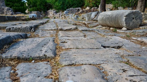 Ancient paved path with column remains and trees in a ruined environment, Archaeological Site,