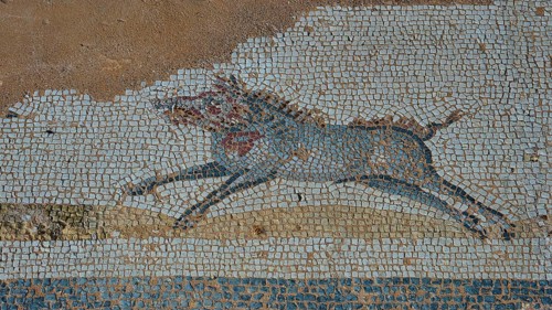 Ancient mosaic depicting a running boar, Archaeological Site, Western Excavation, Kos Town, Kos,