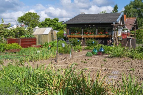 Garden shed with flower boxes in allotment garden, allotment garden, greenhouse, garden, spring,