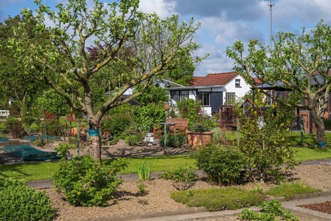 Garden house and fruit trees in allotment garden, allotment garden, garden, spring, Kamen, Ruhr