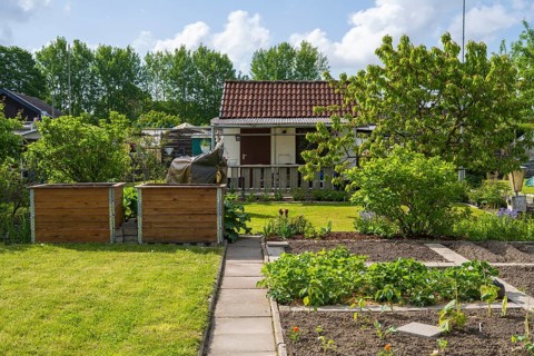 Raised beds and planting beds in front of garden shed, allotment, allotment garden, garden, Kamen,