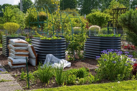 Raised beds in the allotment garden, allotment garden, garden, spring, Kamen, North