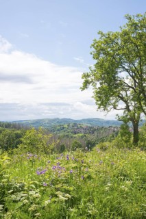 View from north-east to Sankt Andreasberg (St. Andreasberg) and the nature reserve Bergwiesen bei
