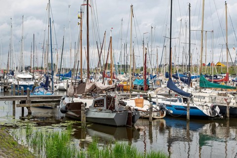 Several sailing boats moored in a quiet harbour, surrounded by water and nature, Noordergat marina,