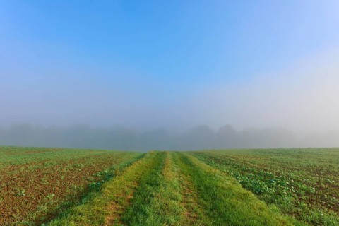 Fields under a clear sky with fog in the background, Mönchberg, Miltenberg, Spessart, Bavaria,