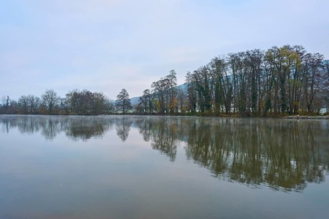 Calm reflection of trees on a misty river on an autumn morning, Laudenbach, Main, Spessart,