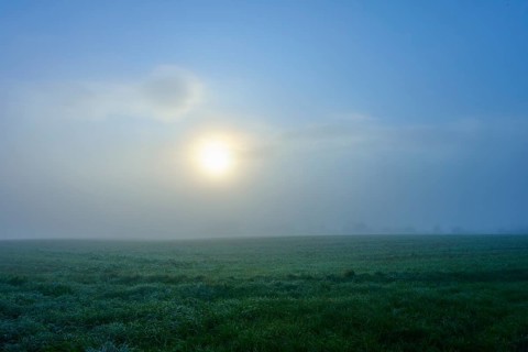 The sun shines through the fog and illuminates the green meadow, Mönchberg, Miltenberg, Spessart,