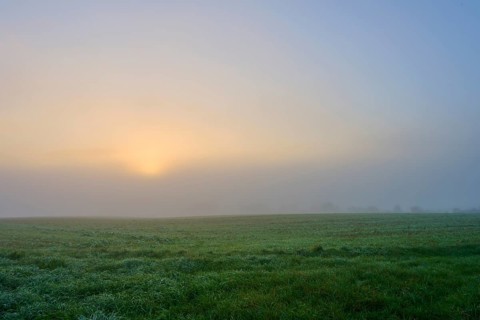 Sunrise over a misty meadow, warm light, Mönchberg, Miltenberg, Spessart, Bavaria, Germany
