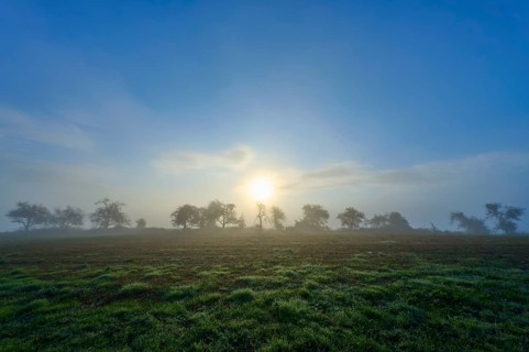 Foggy sunrise over a green meadow, trees silhouetted in the morning light, Mönchberg, Miltenberg,