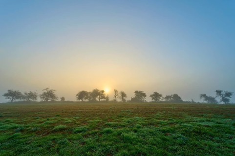 Foggy sunrise over a meadow, trees in the background, calm morning atmosphere, Mönchberg,